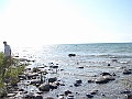 Western Michigan [2010] 816